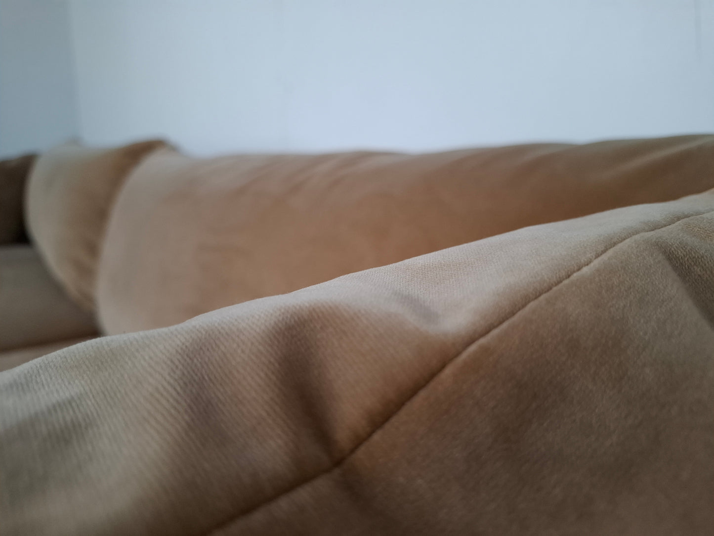 Sofacompany Hoekbank Velourse | Goud / creme